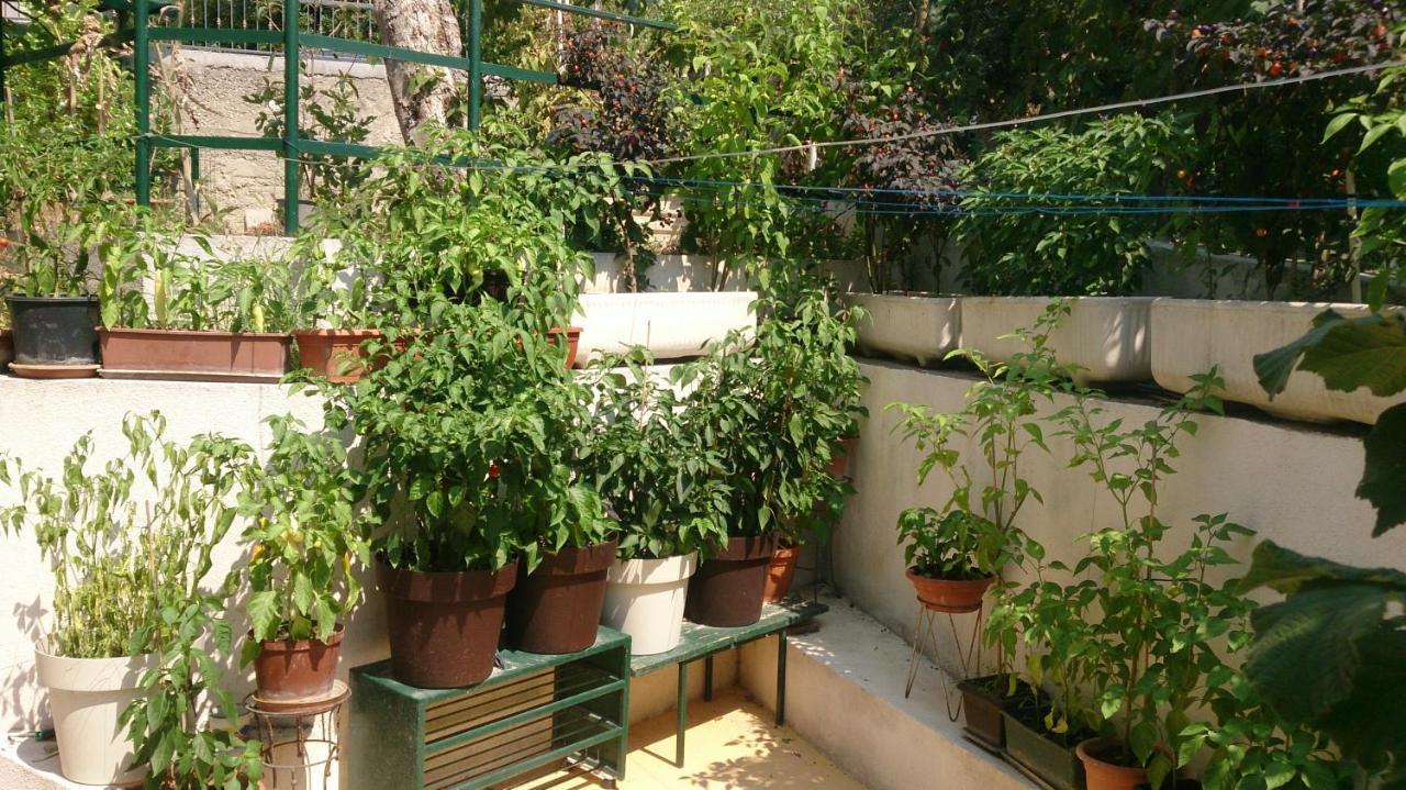 Apartman Paro Split Exterior photo